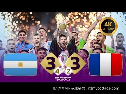 2026全新升级：IM体育VIP专属会员核心特权与晋级机制全解析