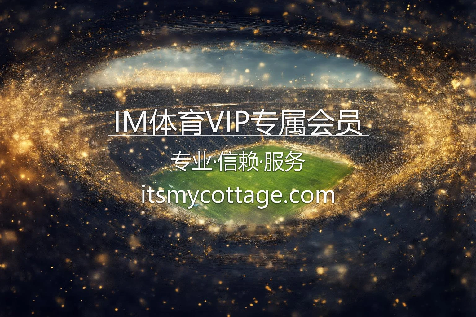 IM体育VIP专属会员-畅享高级别返利与私人礼遇 英雄图